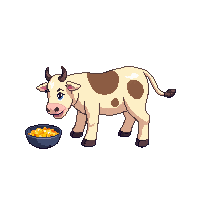 cow eating