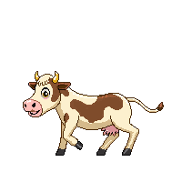 cow walking
