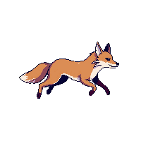 coyote running