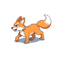coyote walking