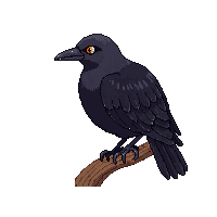 crow perched