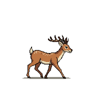 deer walking