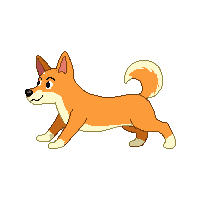 dingo running