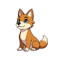 dingo sitting