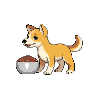 dog eating