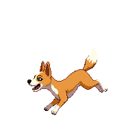 dog jumping