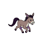donkey running