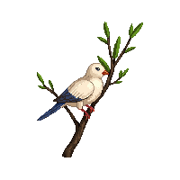 dove perched