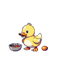 duck eating