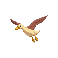 duck flying