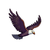eagle flying