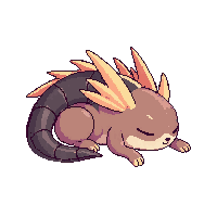 echidna sleeping