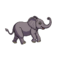 elephant running