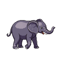 elephant walking