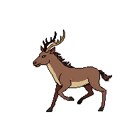 elk running