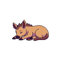 elk sleeping