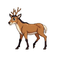 elk walking