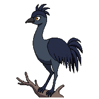 emu perched
