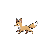 fennec fox walking