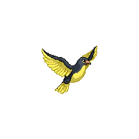 finch flying