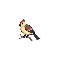 finch perched