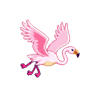 flamingo flying