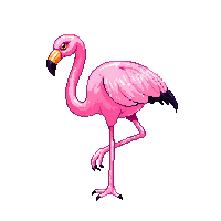 flamingo perched