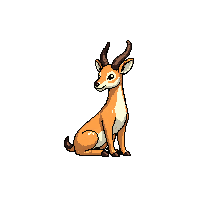 gazelle sitting