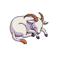 goat sleeping