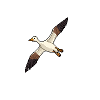 goose flying