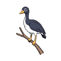 goose perched