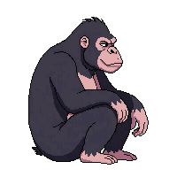 gorilla sitting