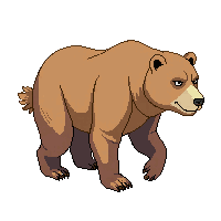 grizzly bear walking