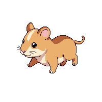 guinea pig running