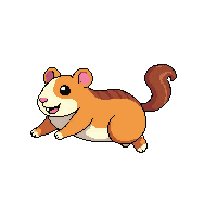 hamster running