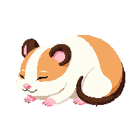 hamster sleeping