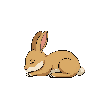 hare sleeping