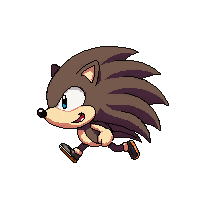 hedgehog walking