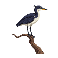 heron perched