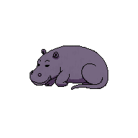 hippopotamus sleeping