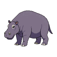 hippopotamus walking