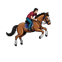 horse jumping