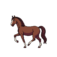 horse walking