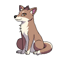 jackal sitting