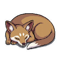 jackal sleeping