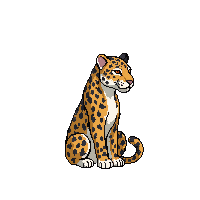 jaguar sitting