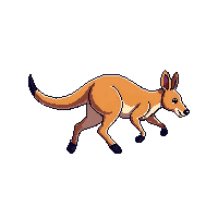 kangaroo running