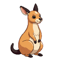 kangaroo sitting