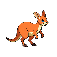 kangaroo walking