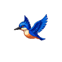 kingfisher flying